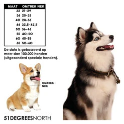 51 Degrees North Halsband Milano -Katzen Hundebedarf Geschäft 51 degrees north milano collar 209969 0500 none