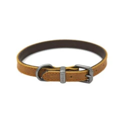 51 Degrees North Halsband Milano -Katzen Hundebedarf Geschäft 51 degrees north milano collar 209981 0500 none
