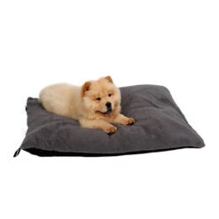 51 Degrees North Sheep Hundekissen 11 51 Degrees North Sheep Hundekissen -Katzen Hundebedarf Geschäft 51 degrees north sheep hondenkussen 141479 0500 none