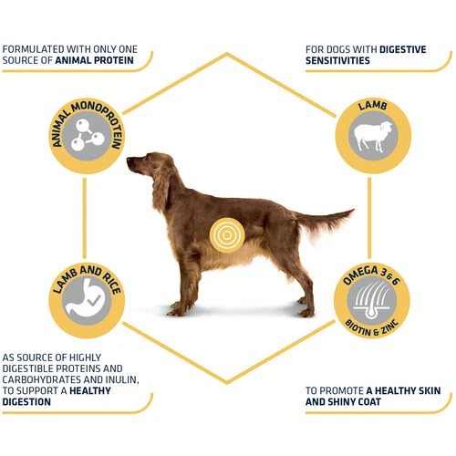 Affinity Advance Sensitive Medium-Maxi Lamm & Reis - Hund – Bild 2