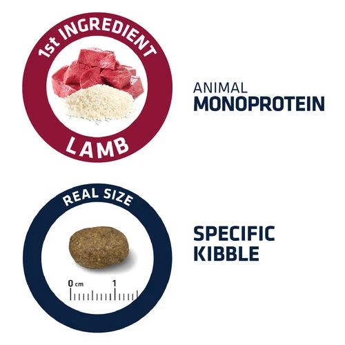 Affinity Advance Sensitive Medium-Maxi Lamm & Reis - Hund – Bild 3