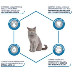 Affinity Advance Sterilized Pute - Katze -Katzen Hundebedarf Geschäft affinity advance sterilized kalkoen kat 178201 0500 none