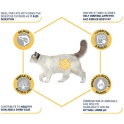 Affinity Advance Sterilized Salmon Sensitive - Katze -Katzen Hundebedarf Geschäft affinity advance sterilized salmon sensitive kat 178282 0500 none