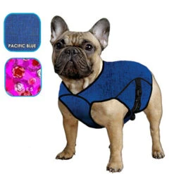 Aqua Coolkeeper Jacket -Katzen Hundebedarf Geschäft aqua coolkeeper jacket 222227 0500 none