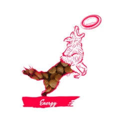 Calibra Dog Expert Nutrition Energy -Katzen Hundebedarf Geschäft calibra dog expert nutrition energy 163534 0500 none