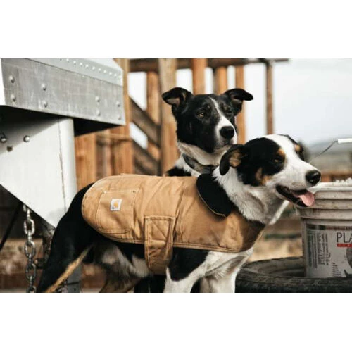Carhartt Dog Chore Coat 8 Carhartt Dog Chore Coat – Bild 6