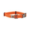 Carhartt Tradesman Hundehalsband -Katzen Hundebedarf Geschäft carhartt tradesman dog collar 186577 0500 none