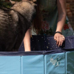 CoolPets Hundepool -Katzen Hundebedarf Geschäft coolpets zwembad 198134 0500 none