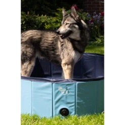 CoolPets Hundepool -Katzen Hundebedarf Geschäft coolpets zwembad 198140 0500 none