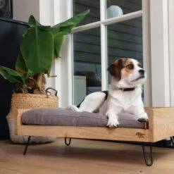 Designed By Lotte Hundebett Turana -Katzen Hundebedarf Geschäft designed by lotte ligmand turana 170032 0500 none