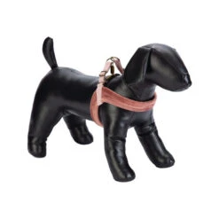 Designed By Lotte Velura - Hundegeschirr -Katzen Hundebedarf Geschäft designed by lotte velura hondentuigje 199607 0500 none