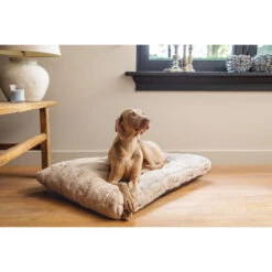 Designed By Lotte Xanti Hundekissen 9 Designed By Lotte Xanti Hundekissen -Katzen Hundebedarf Geschäft designed by lotte xanti hondenkussen 188124 0500 none