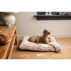 Designed By Lotte Xanti Hundekissen 8 Designed By Lotte Xanti Hundekissen -Katzen Hundebedarf Geschäft designed by lotte xanti hondenkussen 188127 0500 none