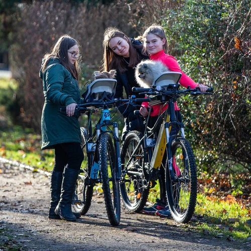 Dogrider Dog Seat Korb - Blau 8 Dogrider Dog Seat Korb - Blau – Bild 6