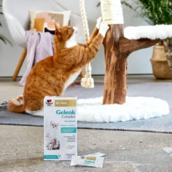 Doppelherz Gelenk Complex Für Katzen -Katzen Hundebedarf Geschäft doppelherz gelenk complex fuer katzen 195053 0500 none