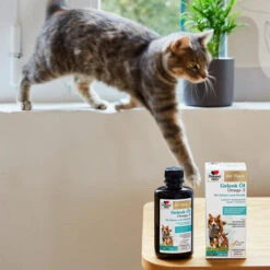 Doppelherz Gelenk Öl Omega-3 Für Katzen Und Hunde -Katzen Hundebedarf Geschäft doppelherz gelenk oel fuer katzen hunde 195062 0500 none