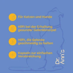 Dr. Ann's Mobility Support Plus -Katzen Hundebedarf Geschäft dr anns mobility support plus 203063 0500 none