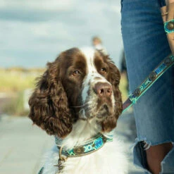 DWAM Halsband Boho Juan -Katzen Hundebedarf Geschäft dwam halsband boho juan 133658 0500 none