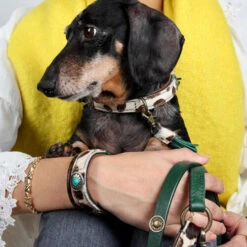 DWAM Halsband Ivy 14 DWAM Halsband Ivy -Katzen Hundebedarf Geschäft dwam halsband ivy 180688 0500 none