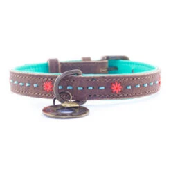 DWAM Halsband Joplin -Katzen Hundebedarf Geschäft dwam halsband joplin 122933 0500 none