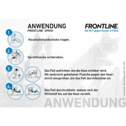 Frontline Spray Gegen Zecken Und Flöhe Für Hunde Und Katzen 11 Frontline Spray Gegen Zecken Und Flöhe Für Hunde Und Katzen -Katzen Hundebedarf Geschäft frontline spray 183898 0500 none