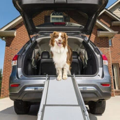 Happy Ride Telescoping Pet Ramp Deluxe 7 Happy Ride Telescoping Pet Ramp Deluxe -Katzen Hundebedarf Geschäft happy ride telescoping pet ramp deluxe 162499 0500 none