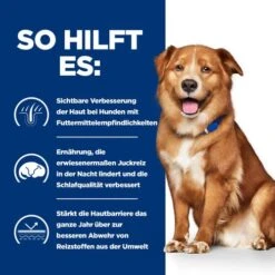 Hill's Derm Complete - Prescription Diet - Canine -Katzen Hundebedarf Geschäft hills derm complete prescription diet canine 211634 0500 none