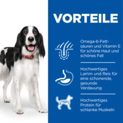 Hill's Science Plan - Medium Adult Dog -Katzen Hundebedarf Geschäft hills science plan adult medium lamb 218893 0500 none