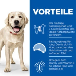 Hill's Science Plan Light - Large Adult Dog 13 Hill's Science Plan Light - Large Adult Dog -Katzen Hundebedarf Geschäft hills science plan adult light large 218758 0500 none