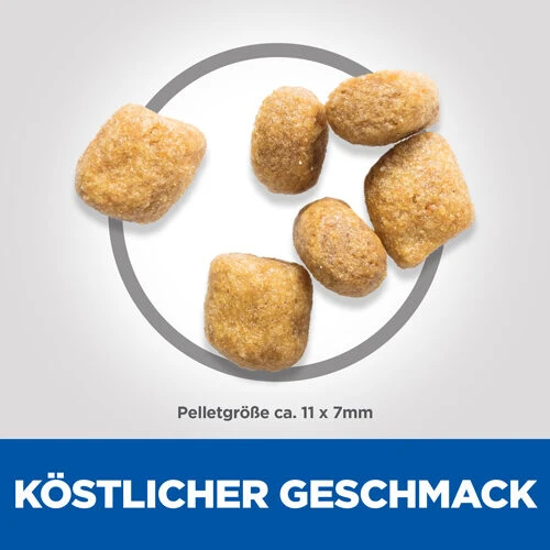 Hill's Science Plan - Feline Adult - Oral Care - Chicken 5 Hill's Science Plan - Feline Adult - Oral Care - Chicken – Bild 3