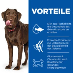 Hill's Science Plan - Healthy Mobility - Large -Katzen Hundebedarf Geschäft hills science plan healthy mobility large 218686 0500 none