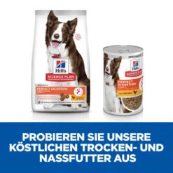 Hill's Science Plan Adult Perfect Digestion Medium -Katzen Hundebedarf Geschäft hills science plan adult perfect digestion medium hondenvoer 181333 0500 none