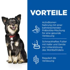 Hill's Science Plan Adult Perfect Digestion Small Und Mini -Katzen Hundebedarf Geschäft hills science plan adult perfect digestion small en mini hondenvoer 181051 0500 none