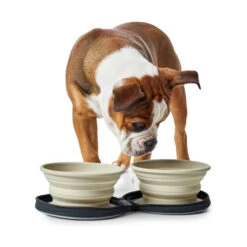 Hunter Silikon-Reisenäpfe In Tasche -Katzen Hundebedarf Geschäft hunter siliconen reiskommen in tasje 175747 0500 none