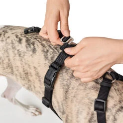 Hunter Vario Rapid Sicherheitsgeschirr - Schwarz -Katzen Hundebedarf Geschäft hunter vario rapid veiligheidsharnas zwart 169504 0500 none