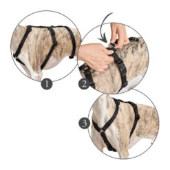 Hunter Vario Rapid Sicherheitsgeschirr - Schwarz -Katzen Hundebedarf Geschäft hunter vario rapid veiligheidsharnas zwart 169510 0500 none