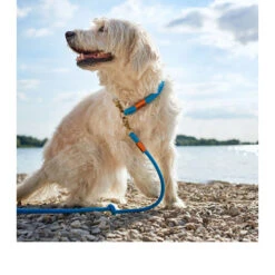 Hunter Verstellbare Führleine Oss 13 Hunter Verstellbare Führleine Oss -Katzen Hundebedarf Geschäft hunter verstelbare riem oss 116580 0500 none