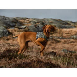 Hurtta Go Geschirr Storm Grey 9 Hurtta Go Geschirr Storm Grey -Katzen Hundebedarf Geschäft hurtta go harness storm grey 201305 0500 none