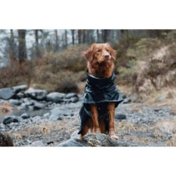 Hurtta Monsoon Coat -Katzen Hundebedarf Geschäft hurtta monsoon coat bilberry 189223 0500 none