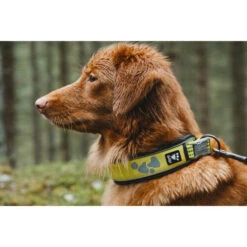 Hurtta Weekend Warrior Halsband -Katzen Hundebedarf Geschäft hurtta weekend warrior collar 189090 0500 none