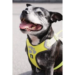 Hurtta Weekend Warrior Geschirr -Katzen Hundebedarf Geschäft hurtta weekend warrior harness 189093 0500 none