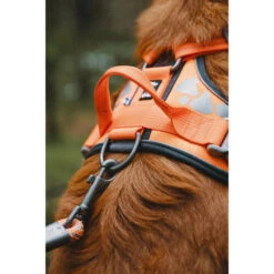 Hurtta Weekend Warrior Geschirr -Katzen Hundebedarf Geschäft hurtta weekend warrior harness 189096 0500 none