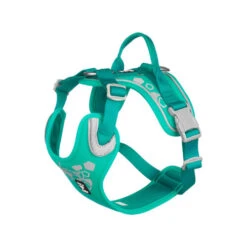 Hurtta Weekend Warrior Geschirr -Katzen Hundebedarf Geschäft hurtta weekend warrior harness 203807 0500 none
