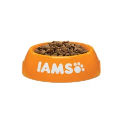 IAMS For Vitality Adult Cat Chicken -Katzen Hundebedarf Geschäft iams adult cat chicken 133709 0500 none