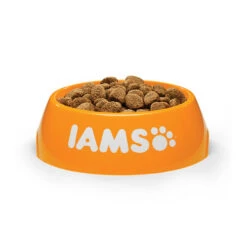 IAMS For Vitality Dog Adult Large Breed - Lamb -Katzen Hundebedarf Geschäft iams dog adult large breed lamb 135997 0500 none