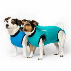 Jacketz Medical Body Suit Für Hunde 8 Jacketz Medical Body Suit Für Hunde -Katzen Hundebedarf Geschäft jacketz medical body suit hond 209519 0500 none