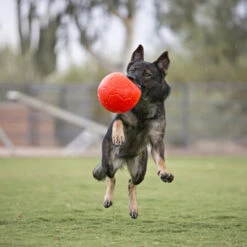 Jolly Soccer Ball -Katzen Hundebedarf Geschäft jolly soccer ball 162241 0500 none