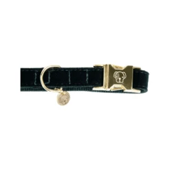 Kentucky Dogwear Corduroy Hundehalsband 16 Kentucky Dogwear Corduroy Hundehalsband -Katzen Hundebedarf Geschäft kentucky dogwear corduroy hondenhalsband 219195 0500 none