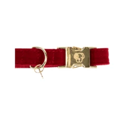 Kentucky Dogwear Corduroy Hundehalsband 15 Kentucky Dogwear Corduroy Hundehalsband -Katzen Hundebedarf Geschäft kentucky dogwear corduroy hondenhalsband 219199 0500 none