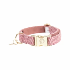 Kentucky Dogwear Hundehalsband Wool 23 Kentucky Dogwear Hundehalsband Wool -Katzen Hundebedarf Geschäft kentucky dogwear hondenhalsband wool 219708 0500 none